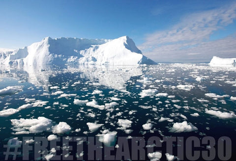 Salvemos el Ártico: proteger el hielo es protegernos a todos