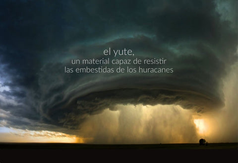 El yute, un material capaz de resistir las embestidas de los huracanes