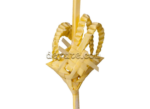 Palma blanca rizada ALPHA detalle