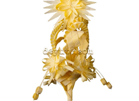 Palma blanca rizada XI detalle