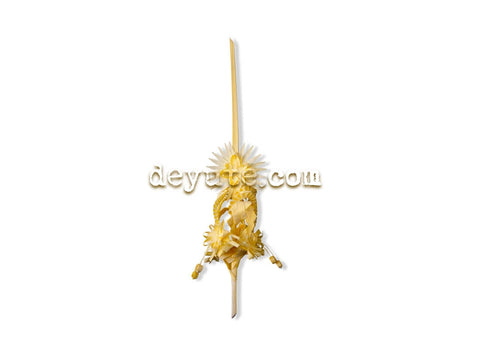 Palma blanca rizada XI