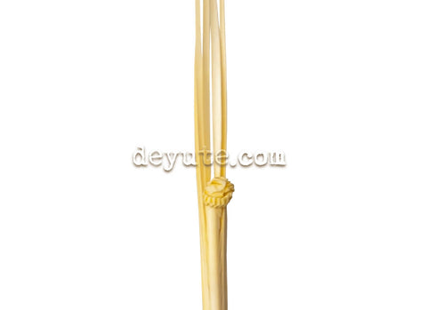 Palma tradicional CHRYSLER detalle